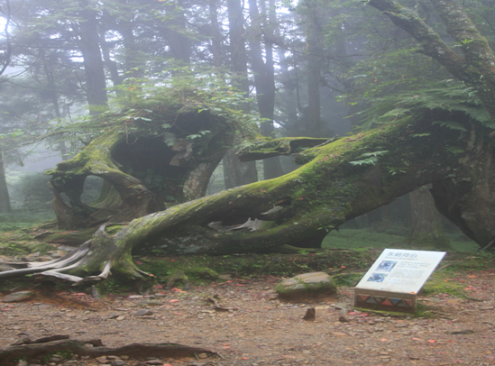 2010091606.png